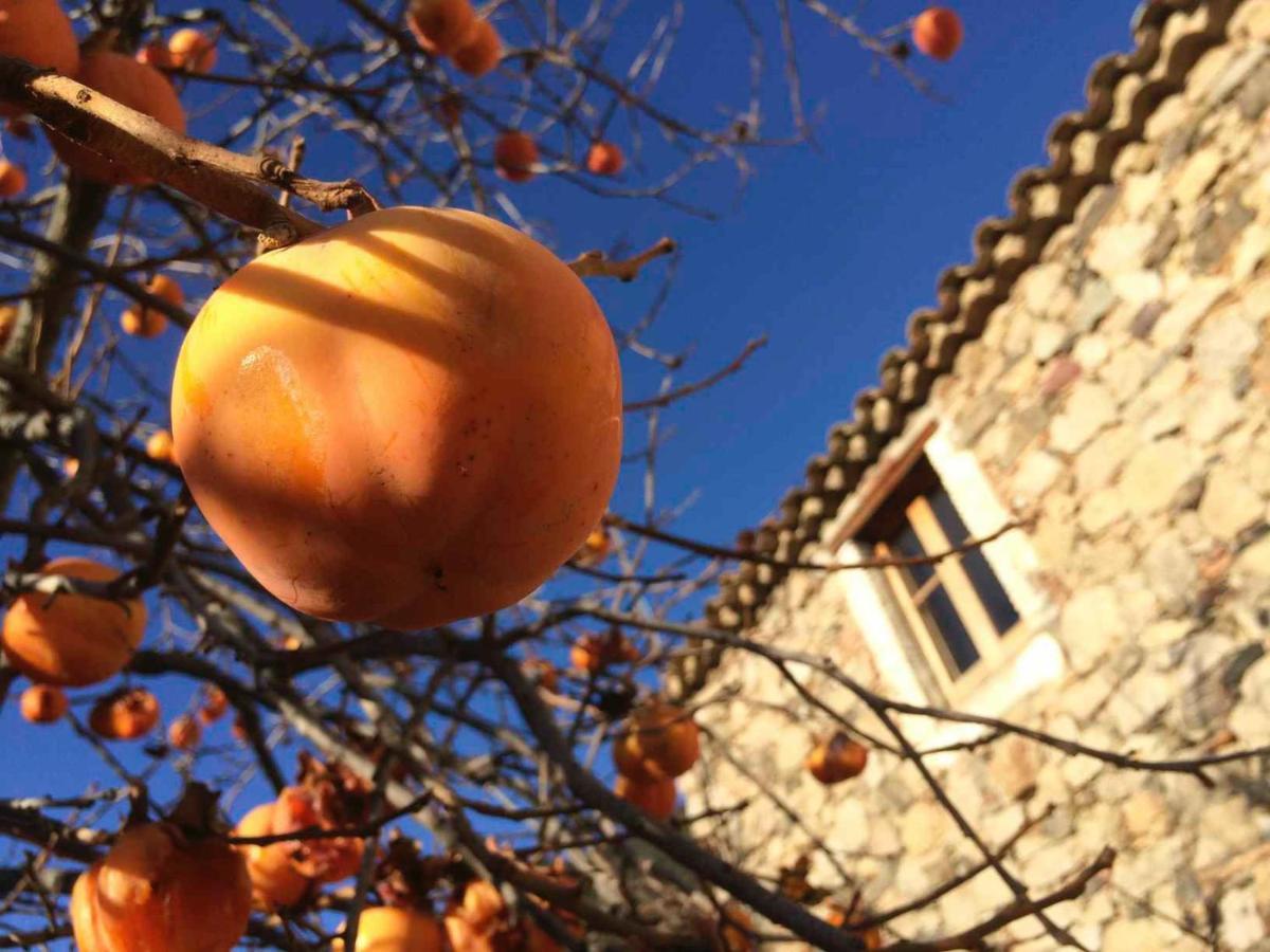 Masia De Vallforners Tagamanent Dış mekan fotoğraf