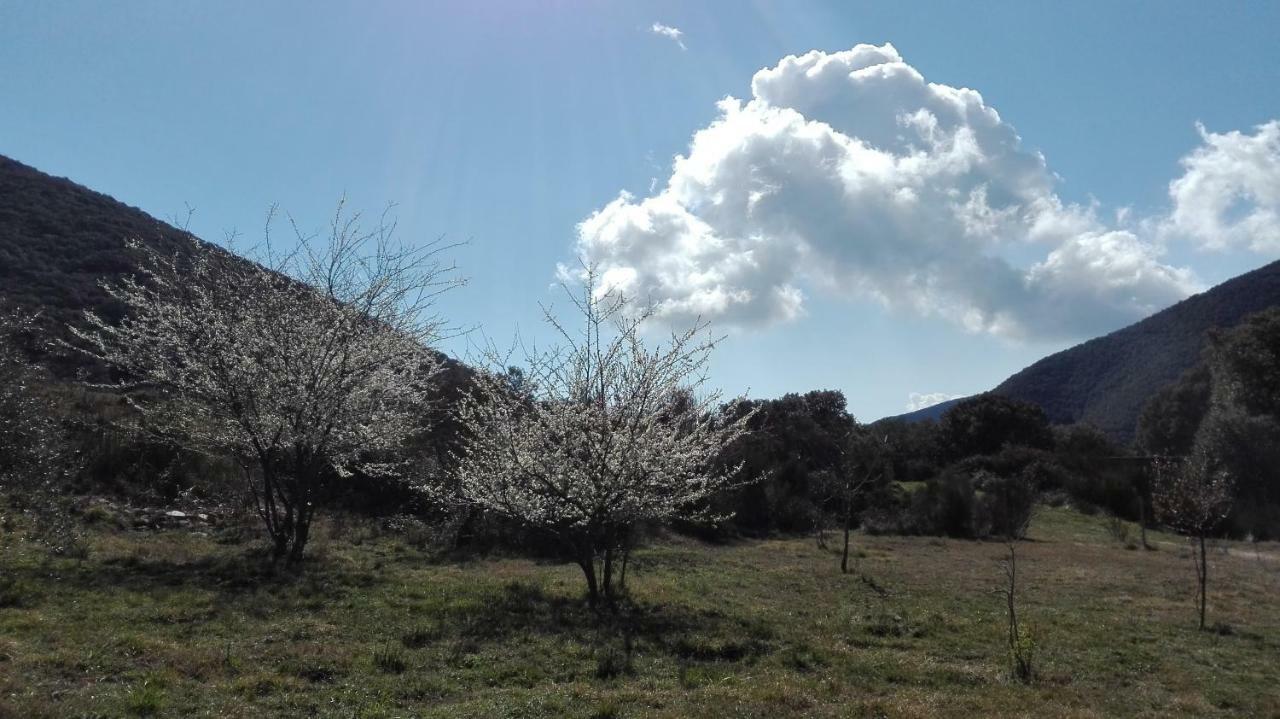 Masia De Vallforners Tagamanent Dış mekan fotoğraf
