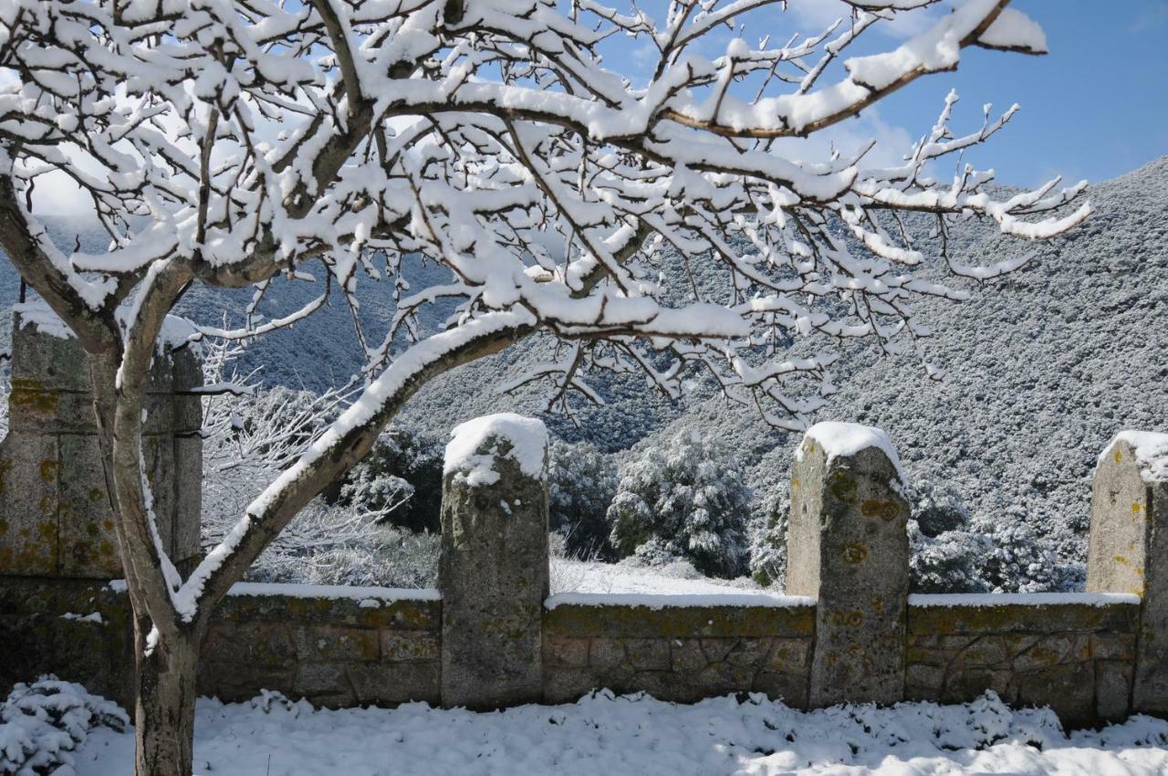Masia De Vallforners Tagamanent Dış mekan fotoğraf