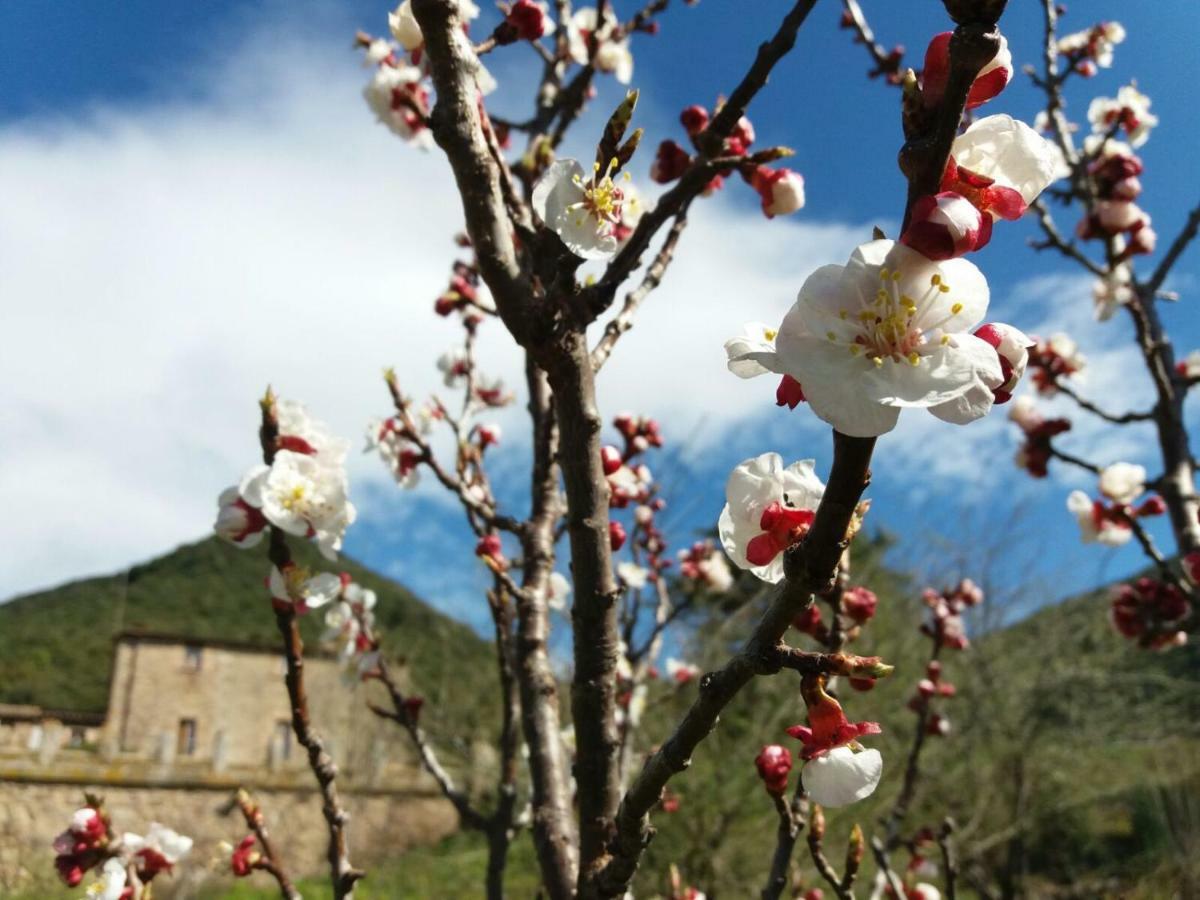 Masia De Vallforners Tagamanent Dış mekan fotoğraf